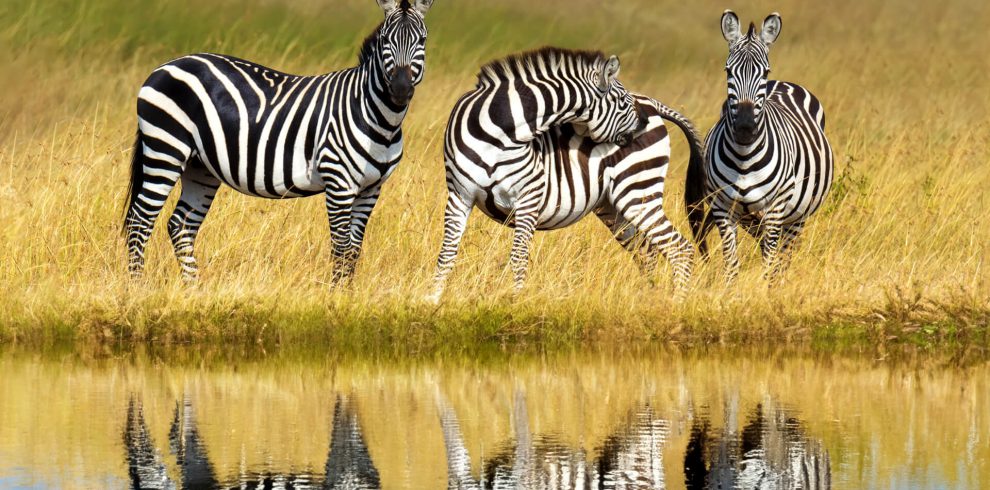 lake-mburo